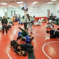 Main image of Aces Jiu Jitsu Club