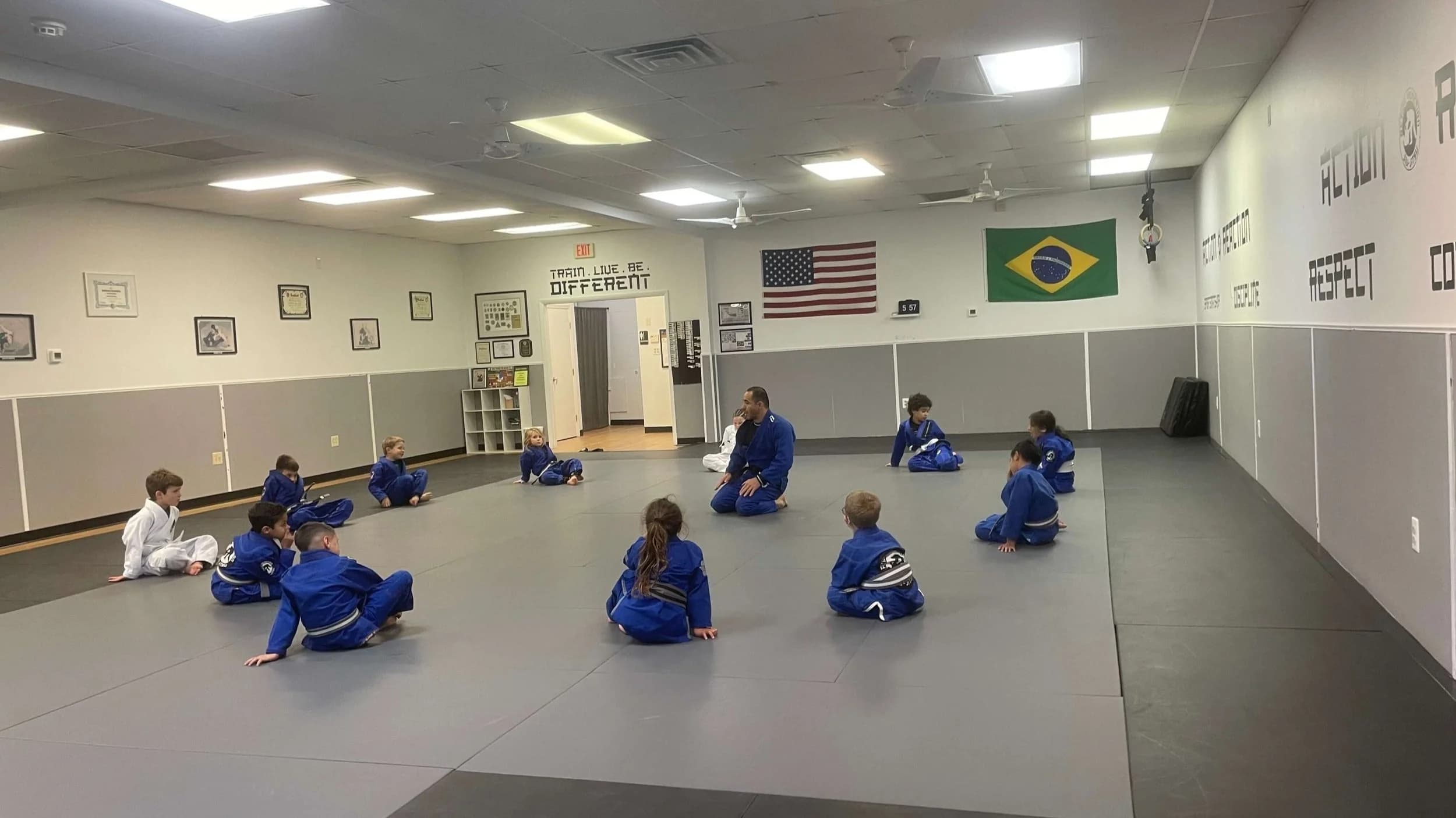 Action Reaction Jiu Jitsu Academy logo