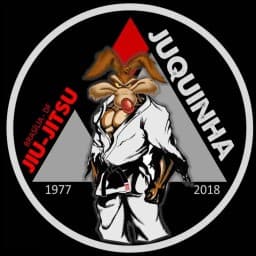Admilson Brites JUQUINHA Jiu Jitsu logo