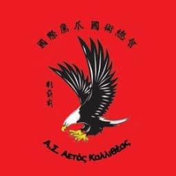 AETOS KALLITHEAS logo