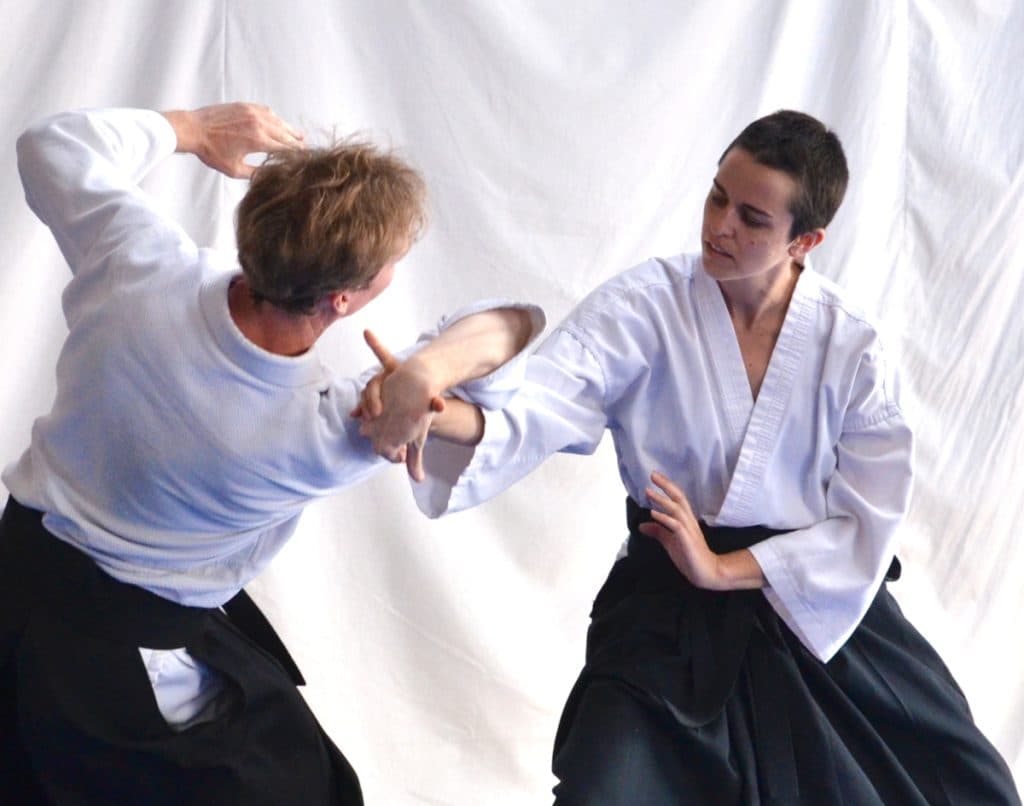 Main image of Aiki Arts Center