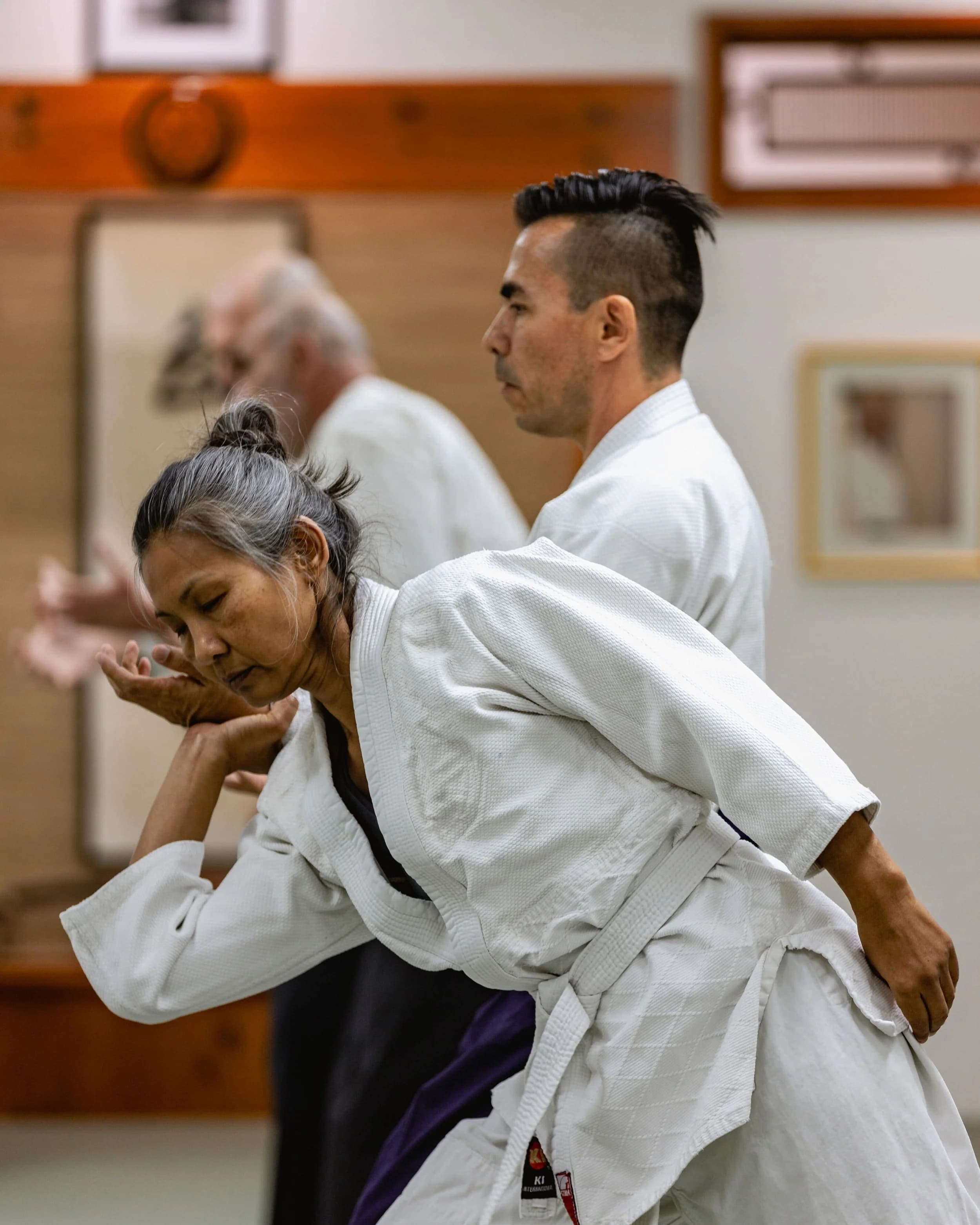 Aikido Daiwa logo