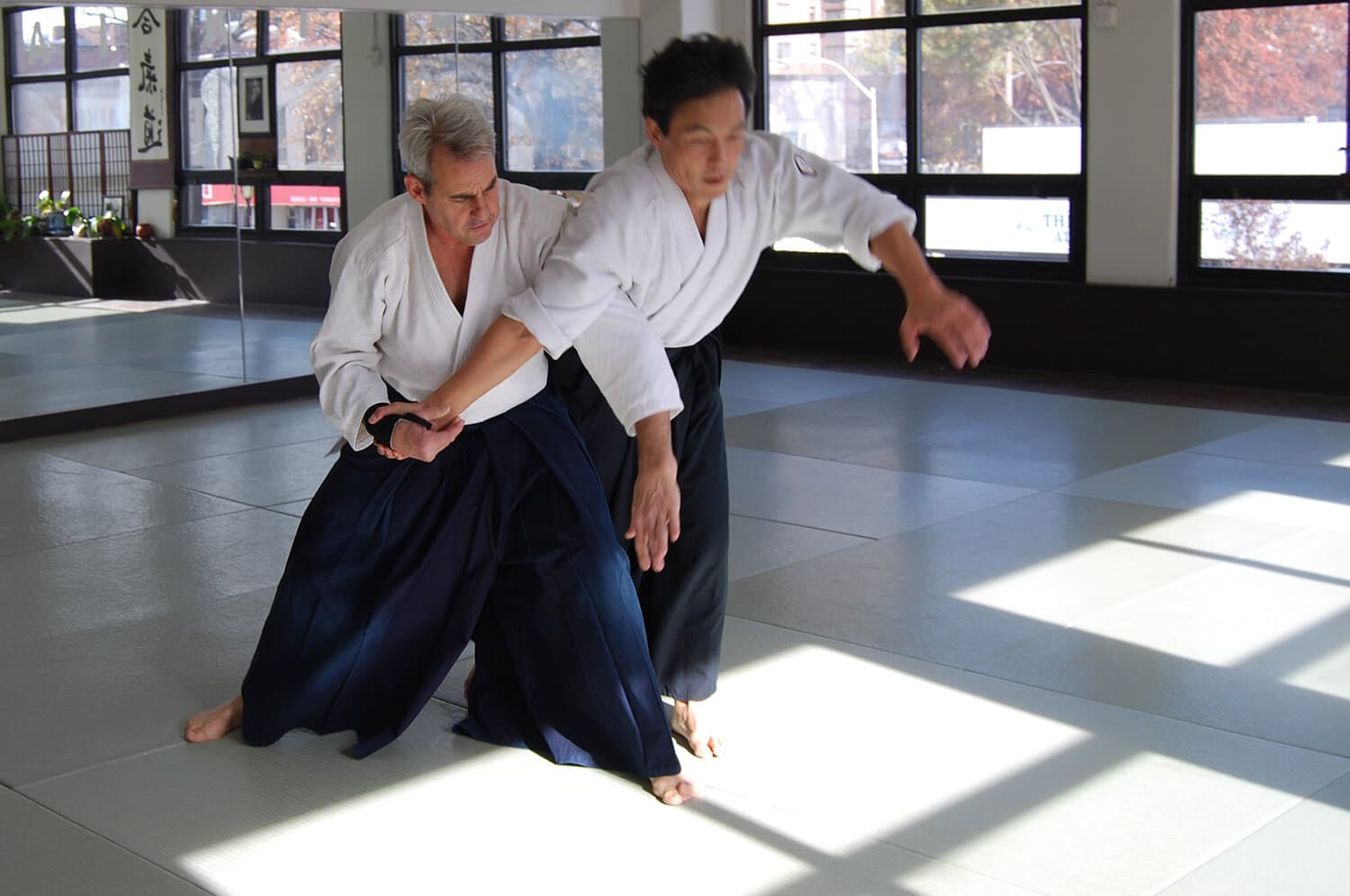 Main image of Aikido of Westchester