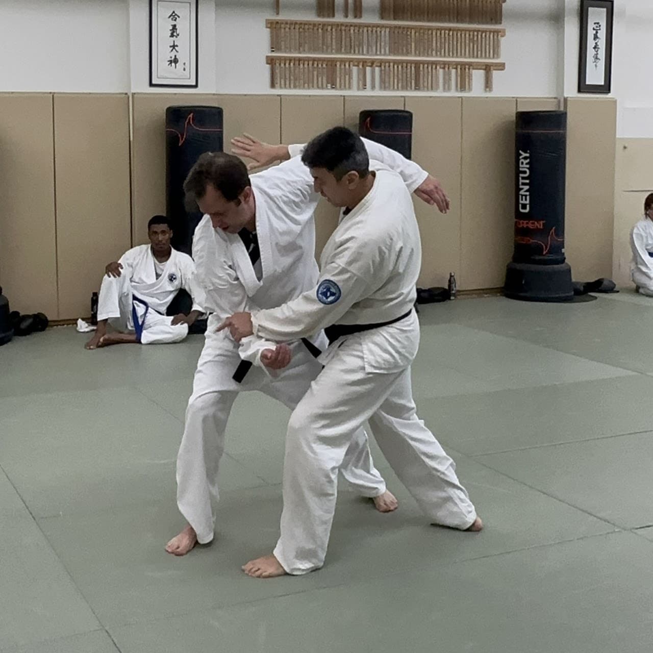 Aikido Self-Defense and Kickboxing logo