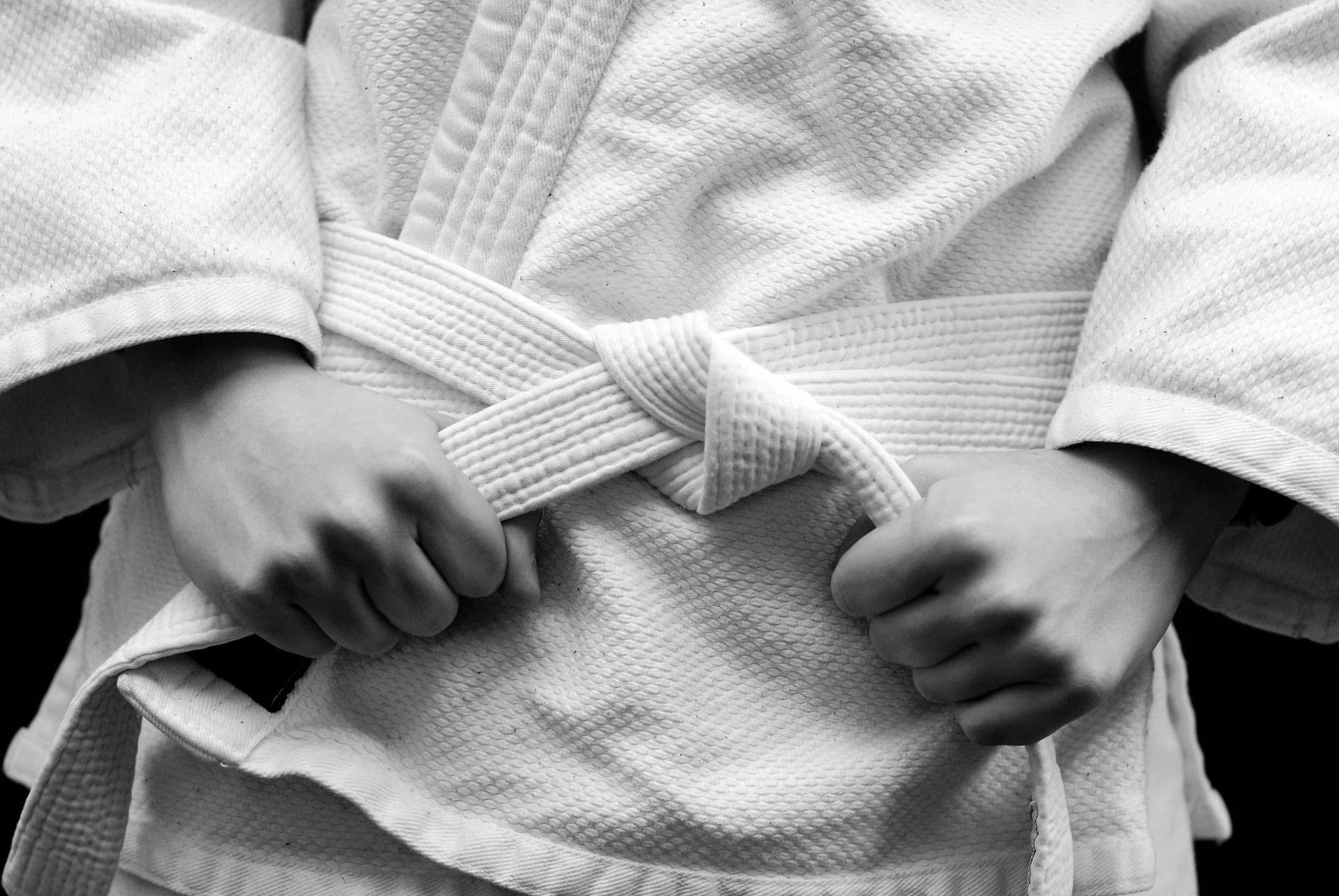 Aikido Training Academy logo