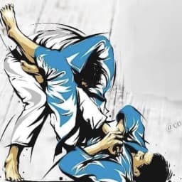 AK Jiu Jitsu Team logo