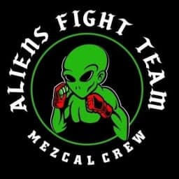 Alien’s Team logo