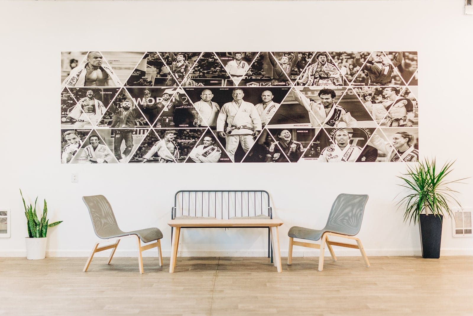 Main image of Alliance BJJ Lakewood