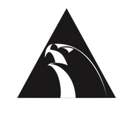 Alliance Israel logo
