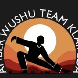 Amber Wushu Team Klaipeda logo