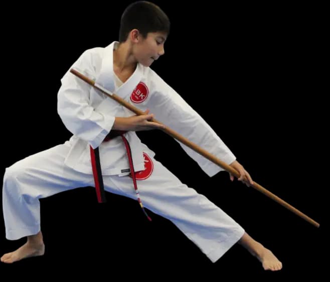 America's Best Karate logo