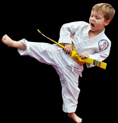 Main image of American Martial Arts Academy - Fullerton Campus - Karate, After School & Summer Camp