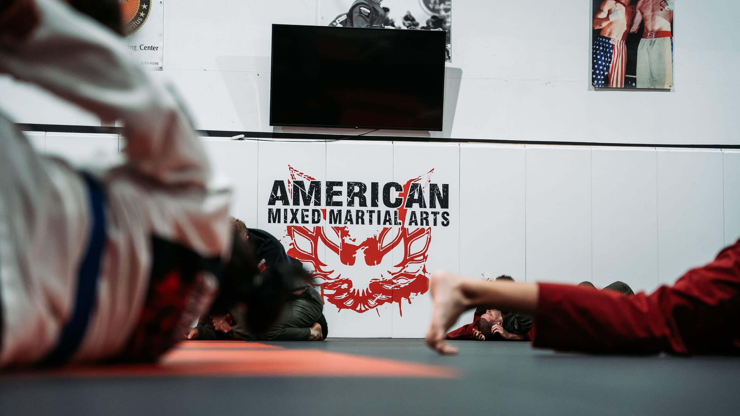 Main image of American Mixed Martial Arts