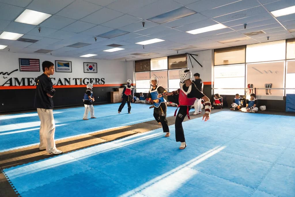 Main image of American Tigers Taekwondo, Inc.