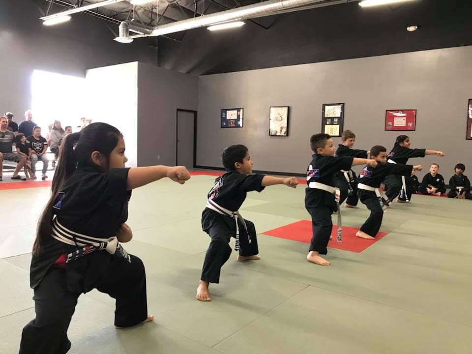Main image of American Top Team Tracy Martial Arts and Kickboxing