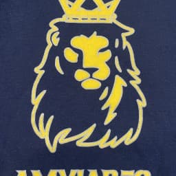 Amviares logo