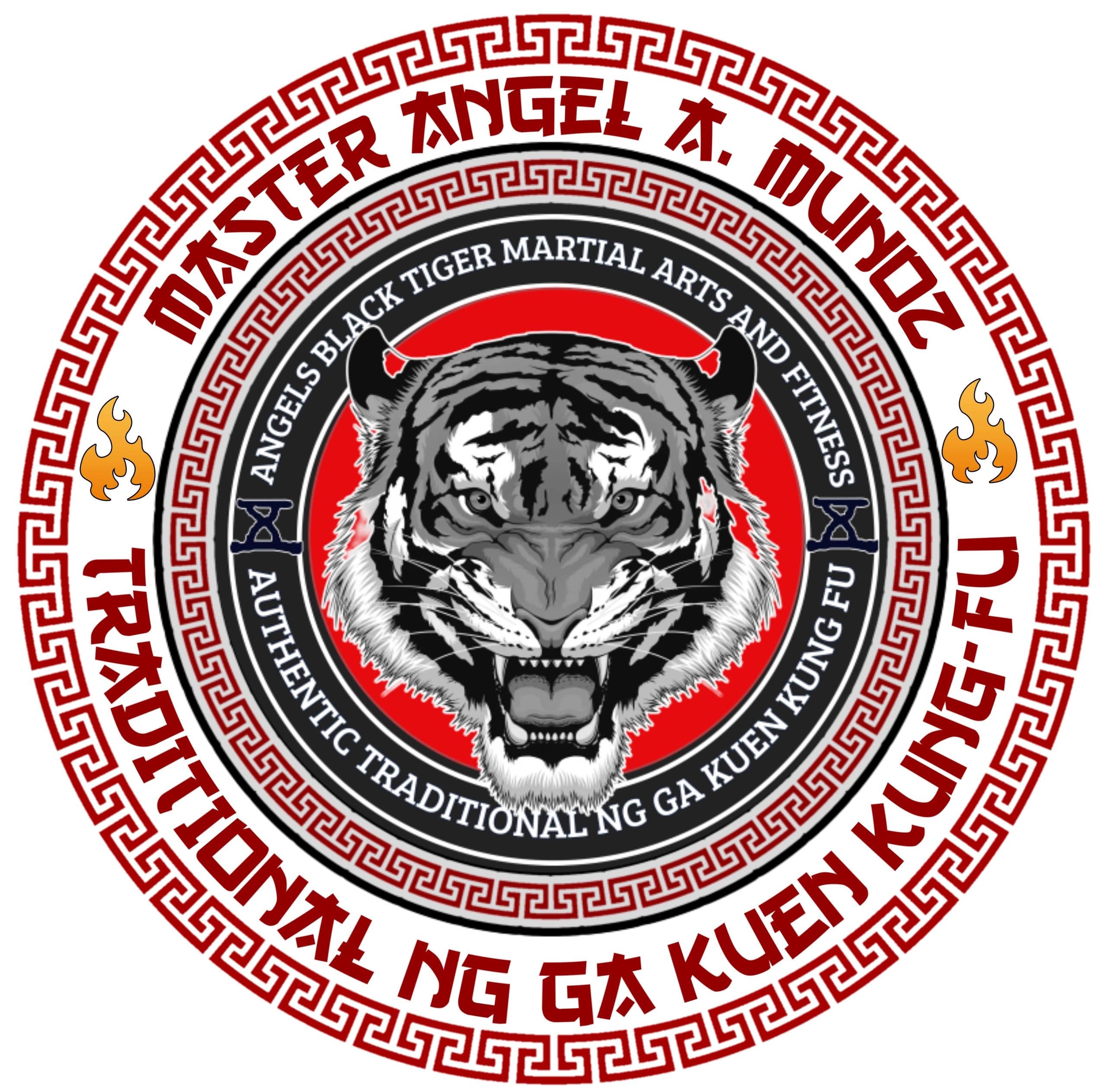 Angels Black Tiger Martial Arts and Fitness logo