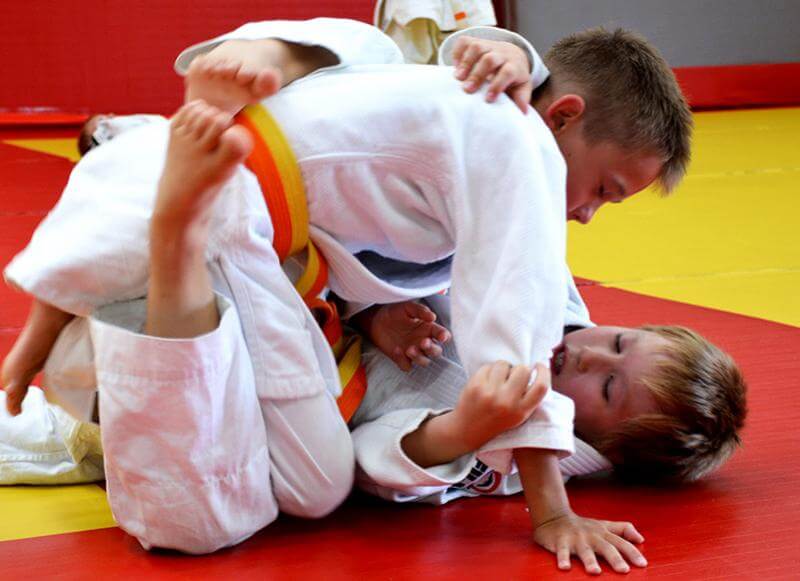 Main image of Ararat Martial Arts & Fitness Center
