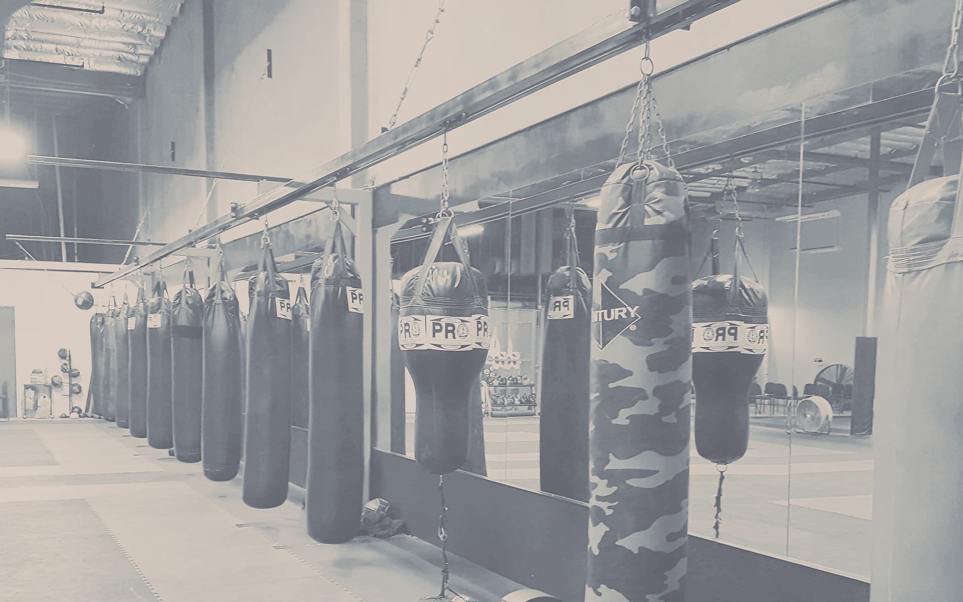 Main image of Arena Training Center