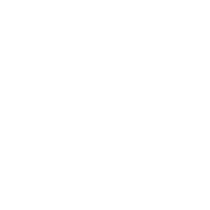 Art of Entanglement logo