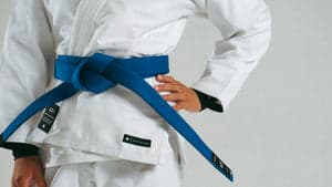Main image of Art of Jiu Jitsu