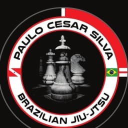ARTE SUAVE BJJ logo