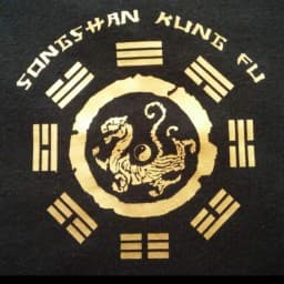 ASD Songshan logo
