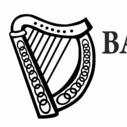 Baseline jiujitsu logo