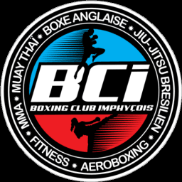 BCI Team Imphy logo