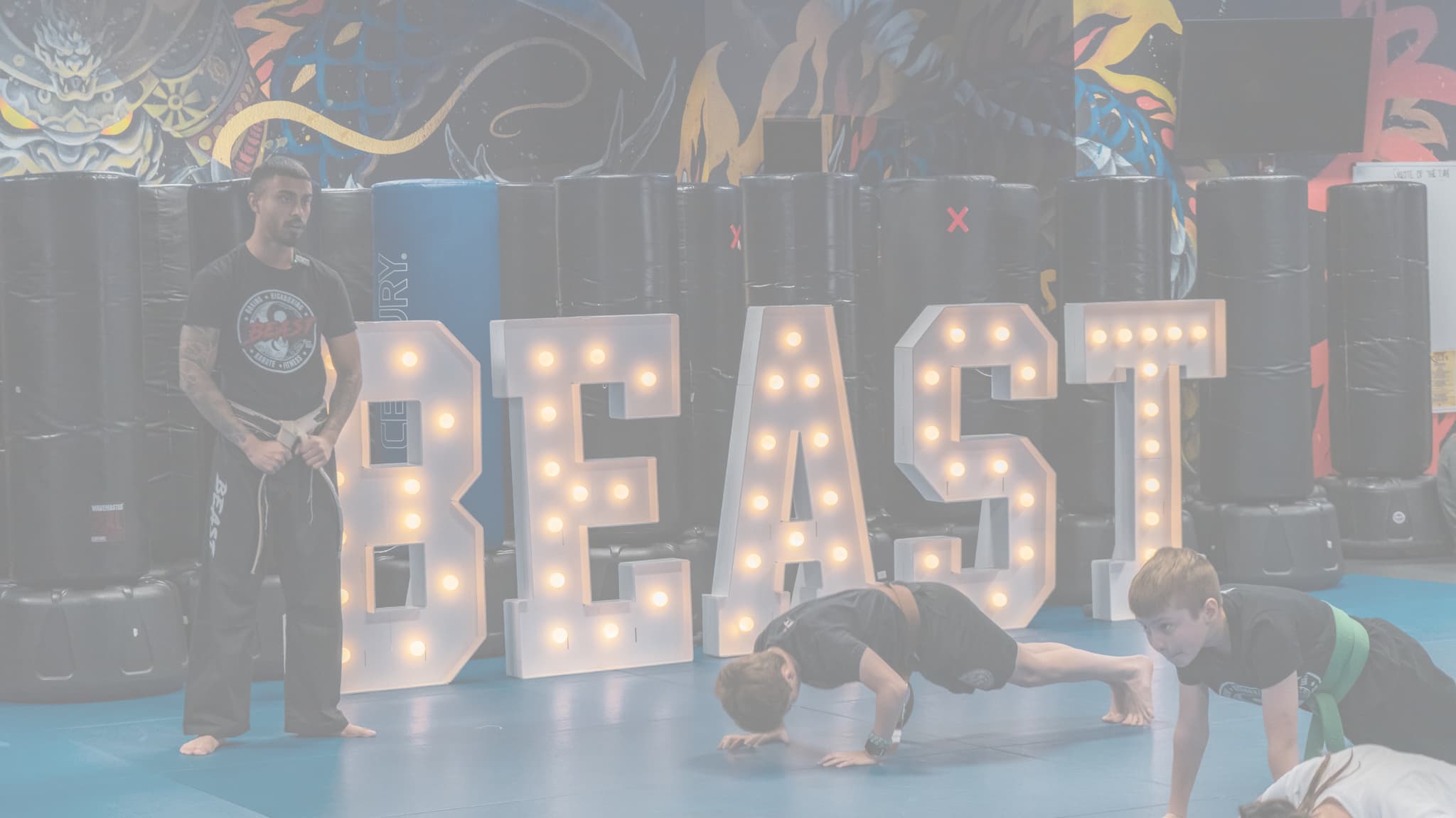 Main image of Beast Martial Arts & Fitness of Oyster Bay