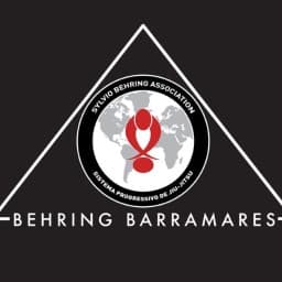 Behring Barramares logo