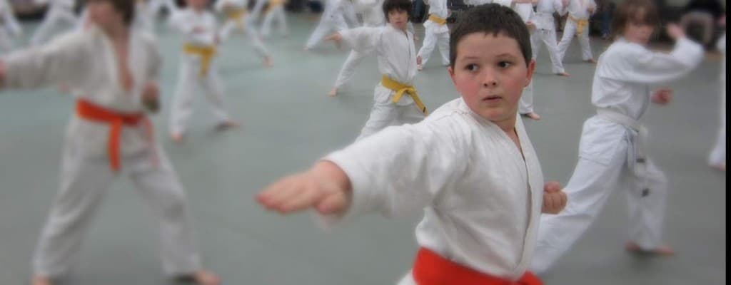 Main image of Best Martial Arts Institute