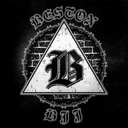 Beston bjj logo