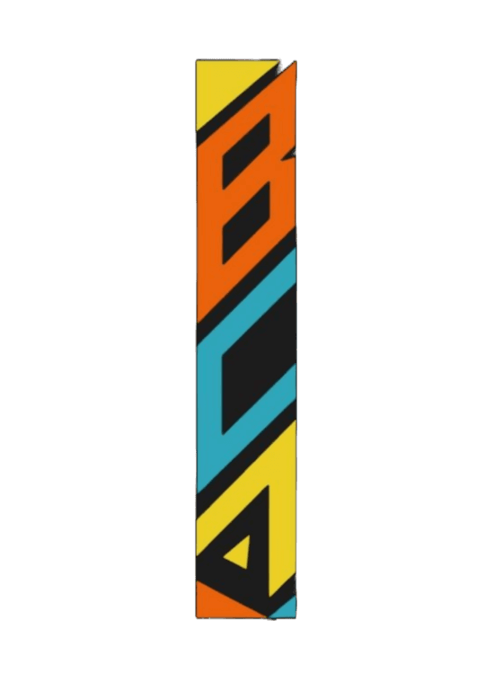 Beverley Combat Academy logo