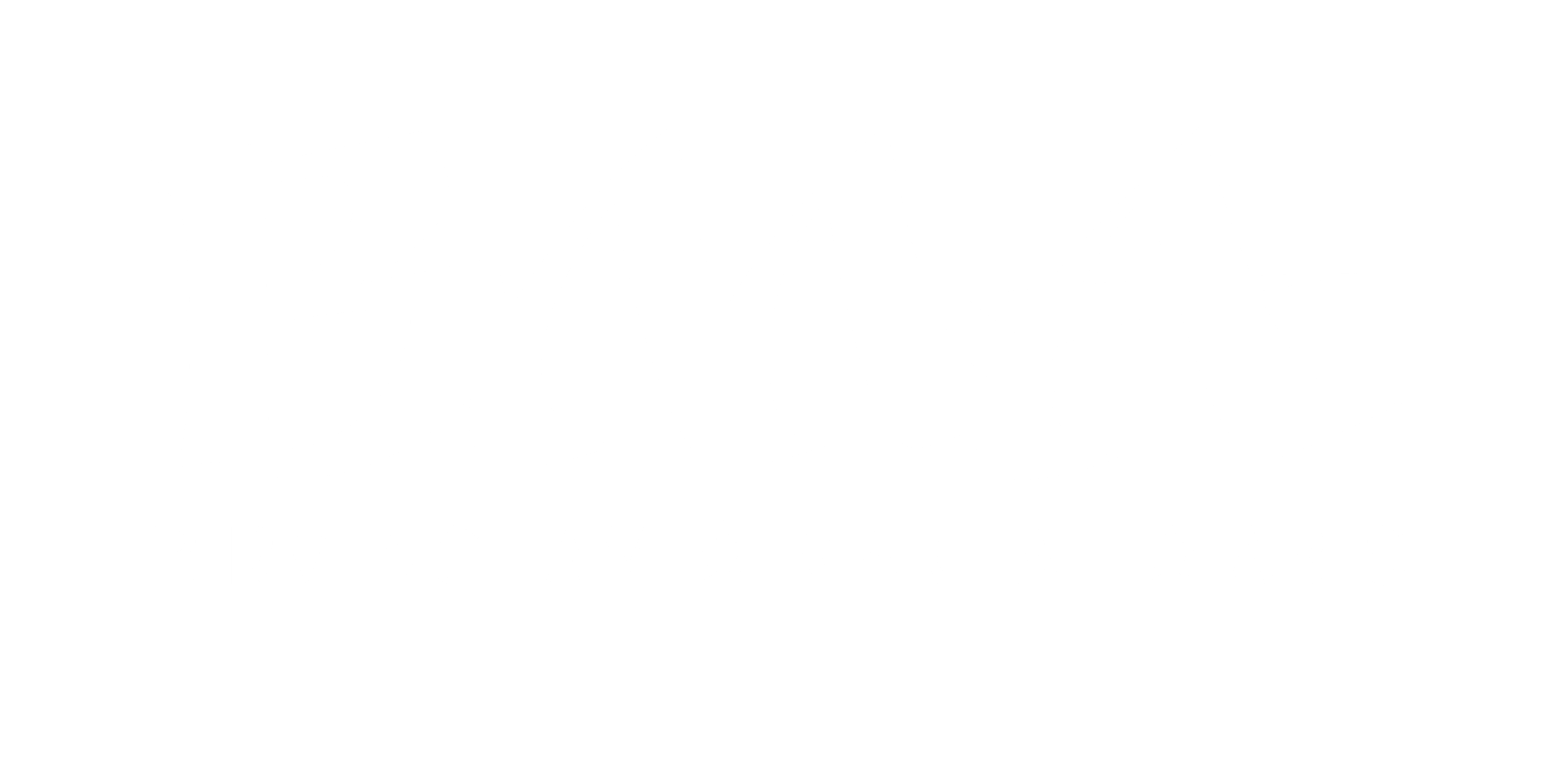 Birmingham Martial Arts - Vestavia Hills / Liberty Park logo