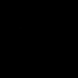 Bjj gym logo
