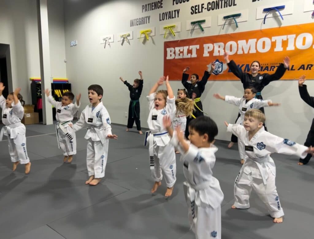 Main image of BKM Martial Arts the Woodlands