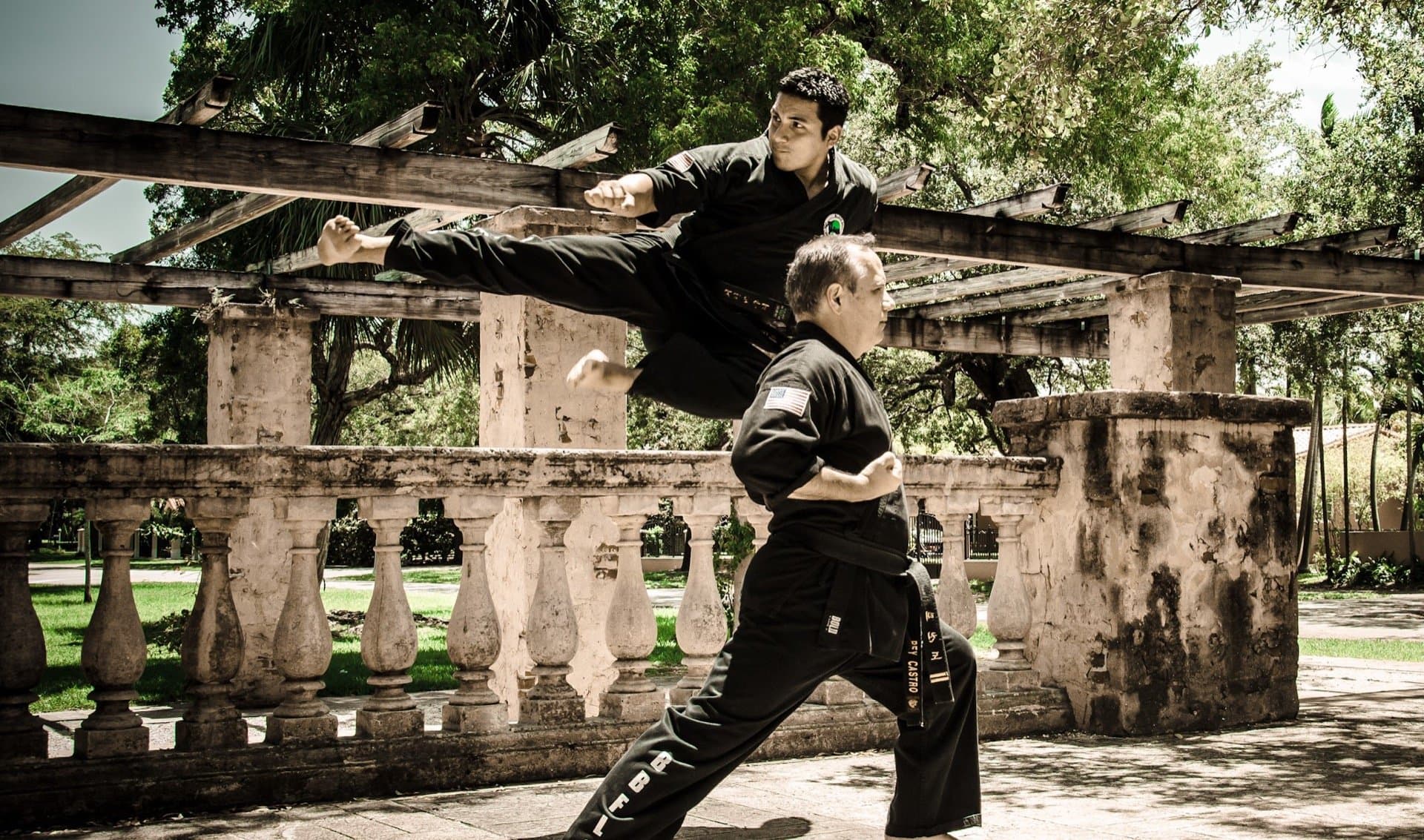 Main image of Black Belt For Life Studios