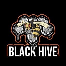 Black Hive Jiujitsu logo