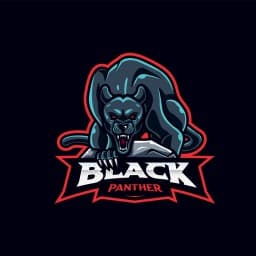 Black Panther Top Team logo
