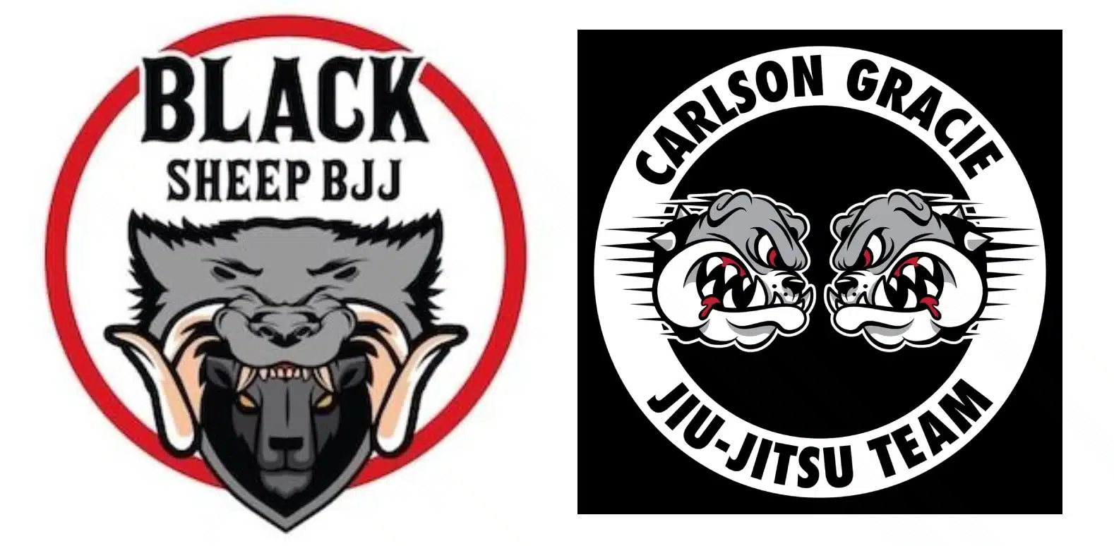 Main image of Black Sheep BJJ/Carlson Gracie Jiu Jitsu El Paso