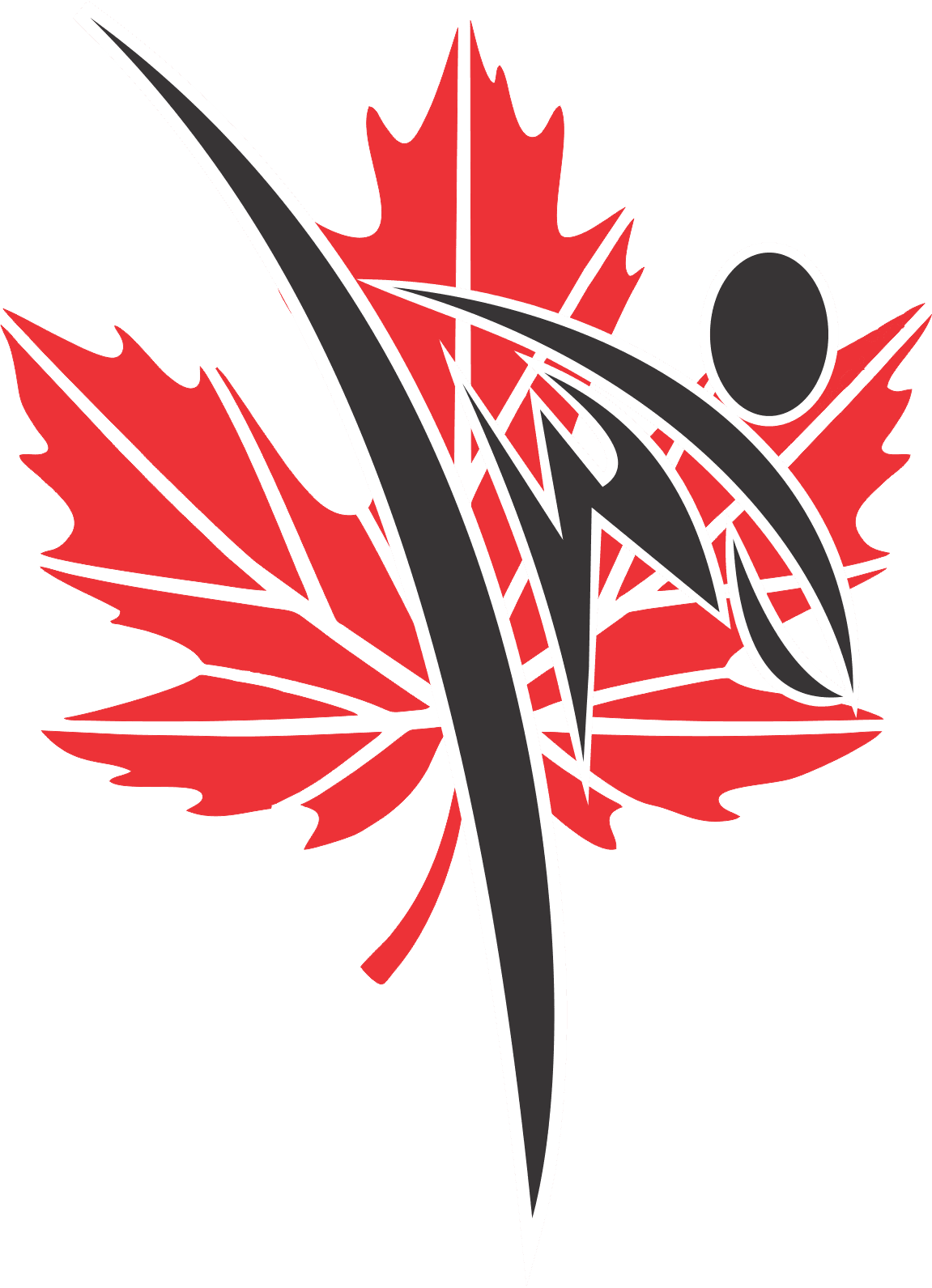 Bluewater Taekwondo logo