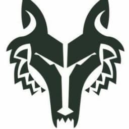 Borz Wrestling logo