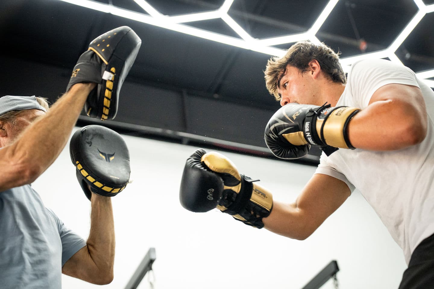 Main image of Bots Boxing