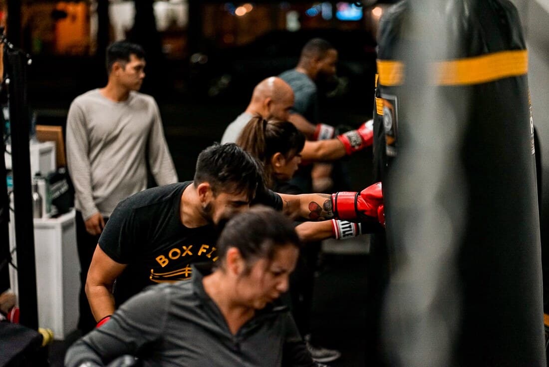 BoxFit logo