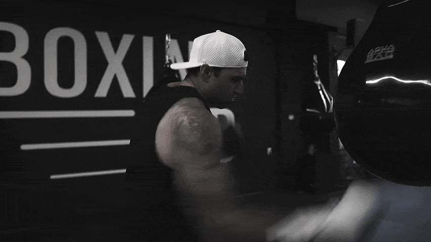 Main image of Boxing Lab
