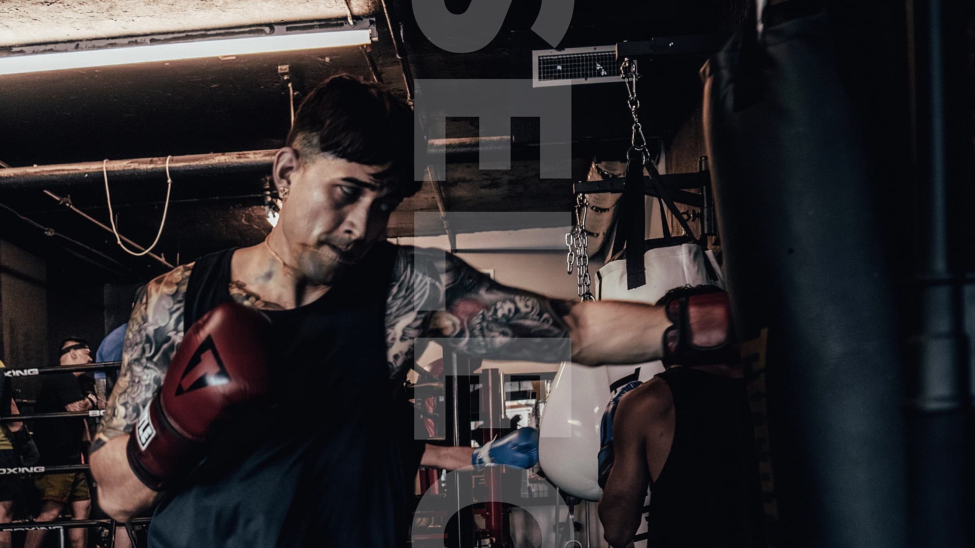 Main image of Boxing Society