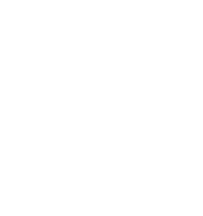 Brantley's Revolution Training and Martial Arts logo