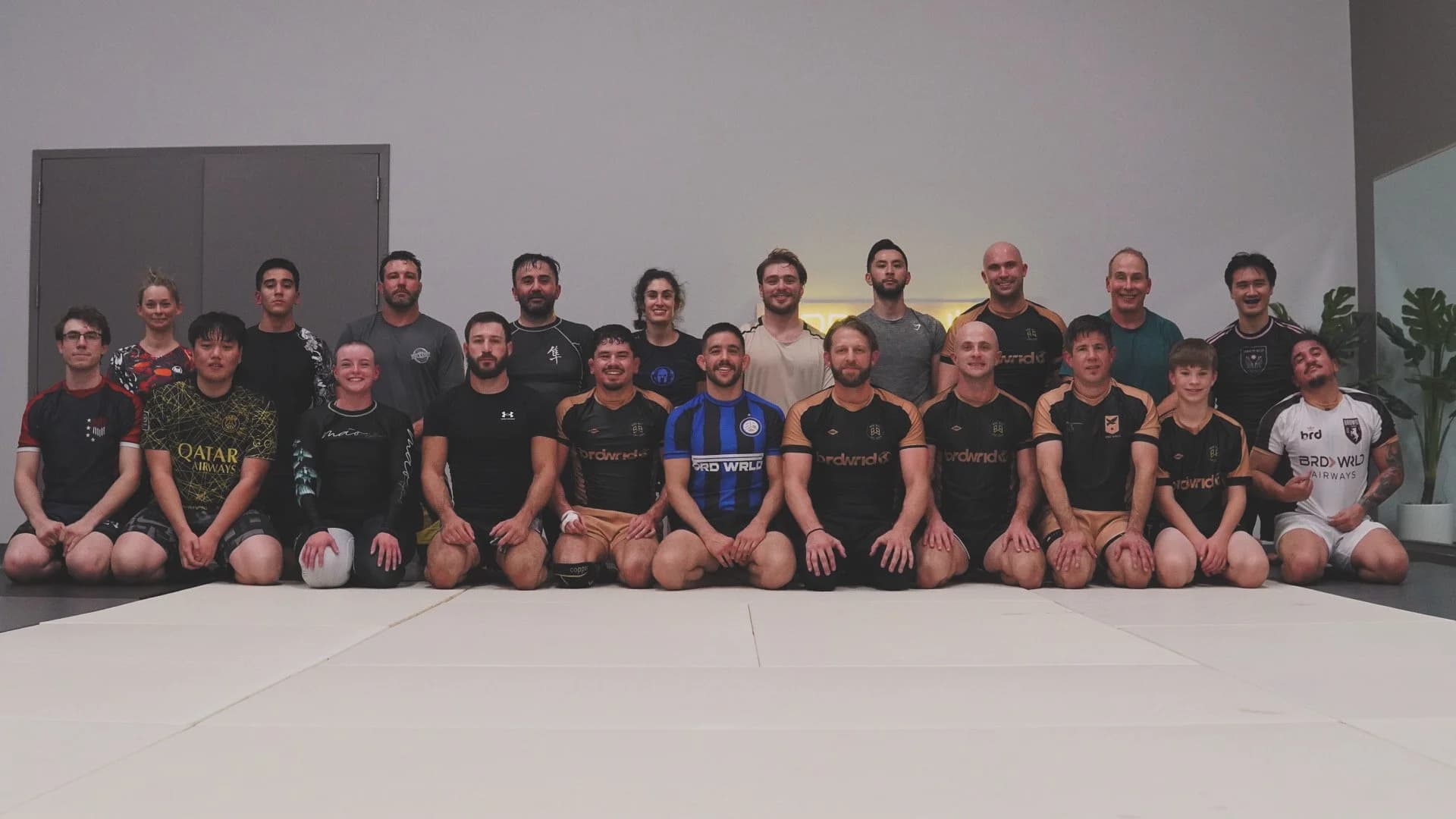 BRD Brazilian Jiu Jitsu logo