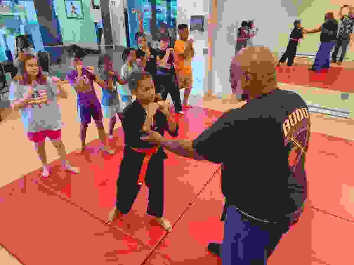 Main image of Budo Martial Arts Academy